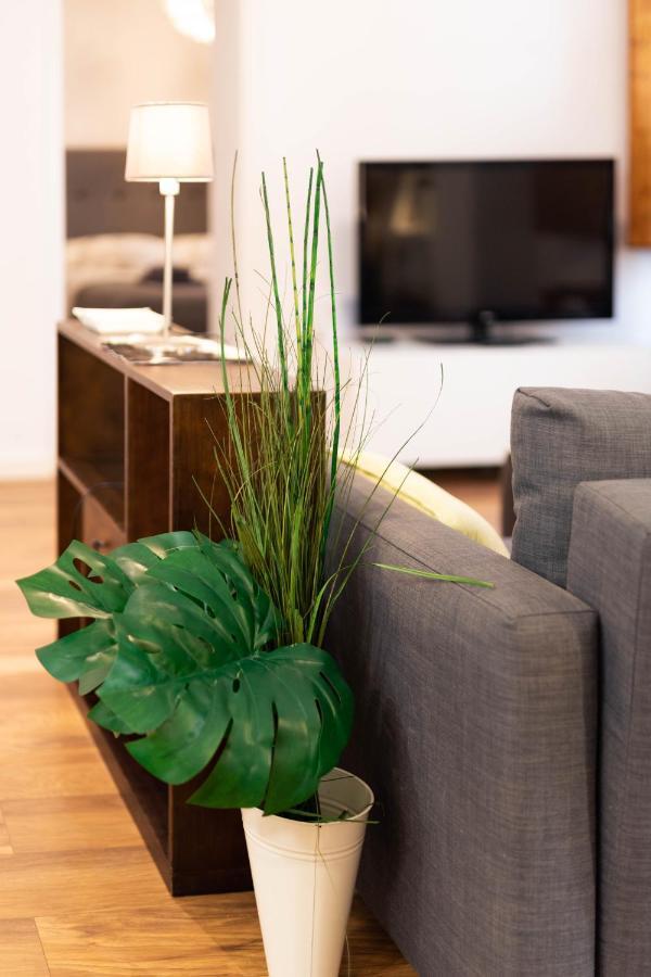 Apartamento En Plaza Sedassos Centro Historico